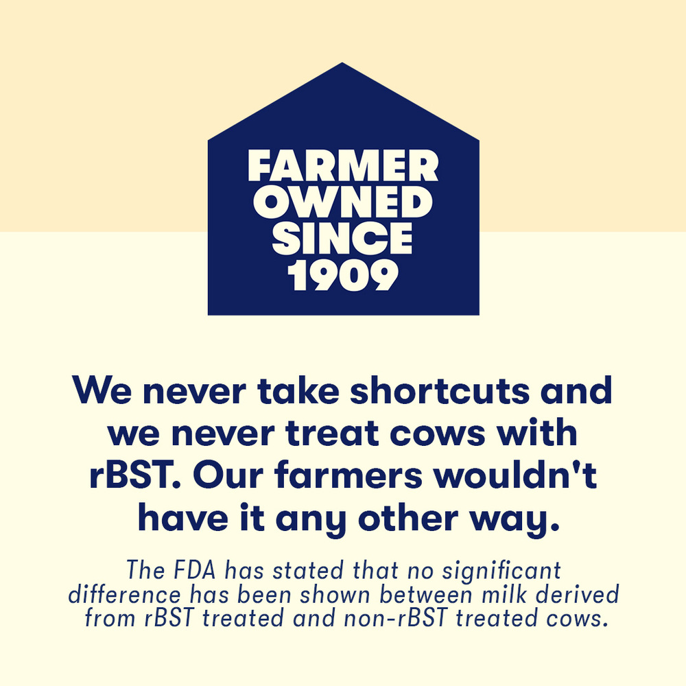 Tillamook Ice Cream, Oregon Dark CherryPlanogramLeft