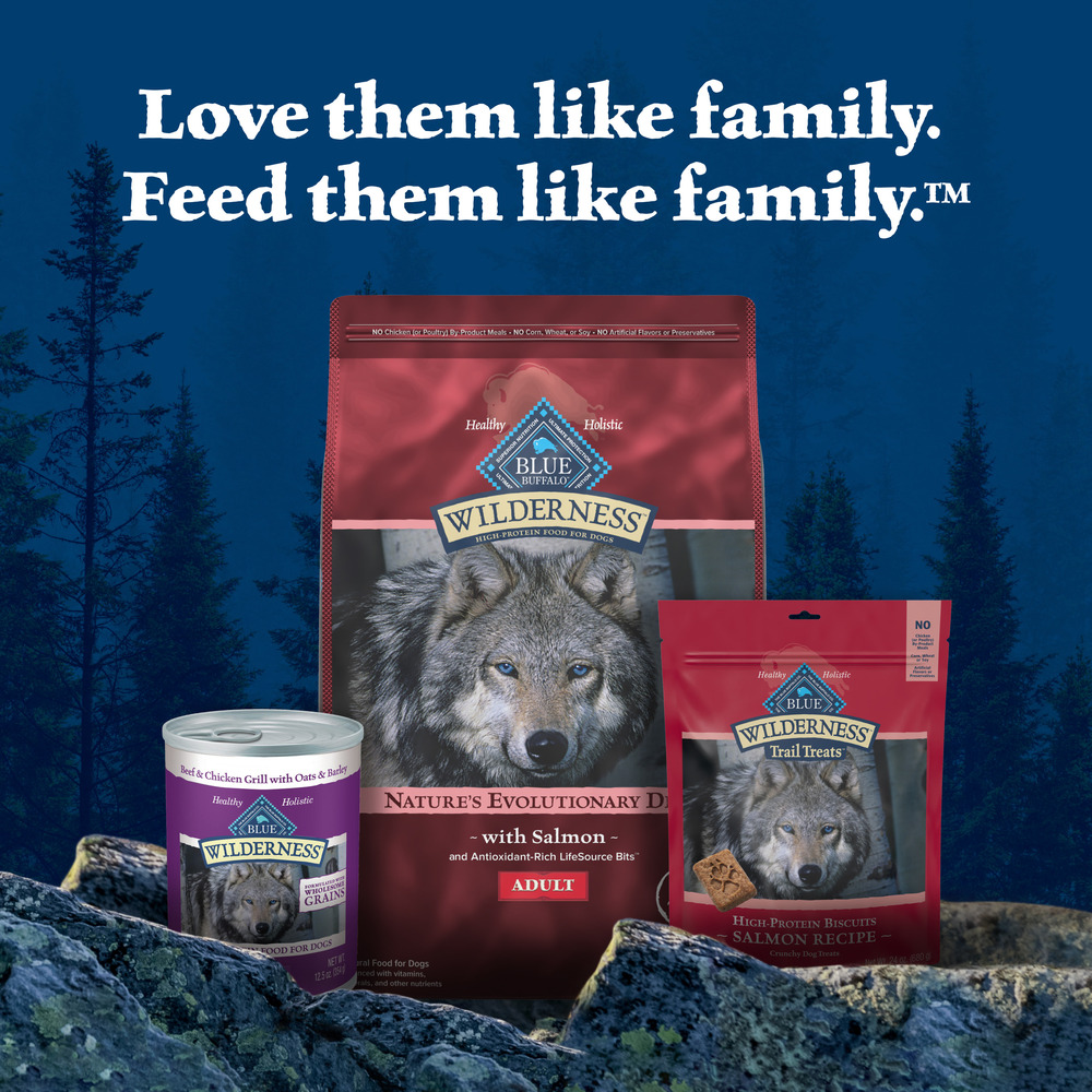 Blue Buffalo Wilderness Adult High-Protein Dry Dog Food Natural Salmon with Wholesome Grains-Planogram-Right