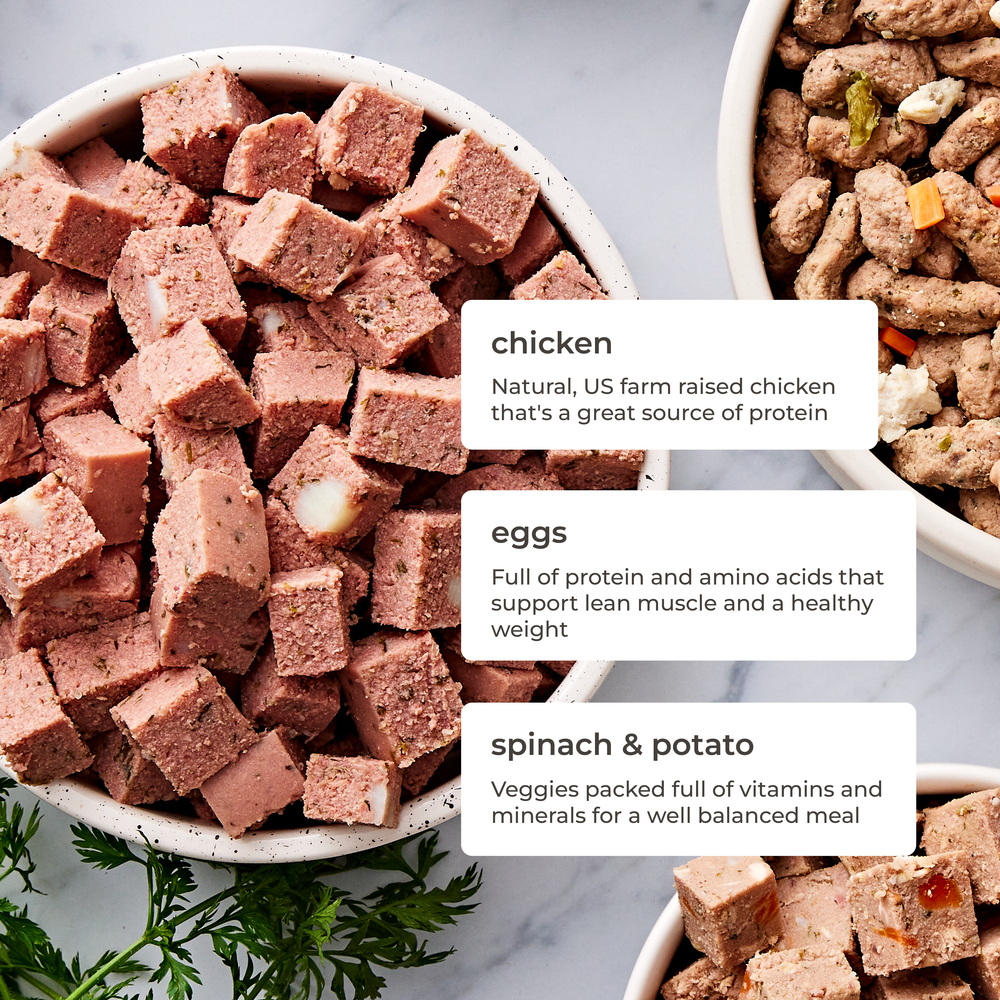Freshpet grain free discount