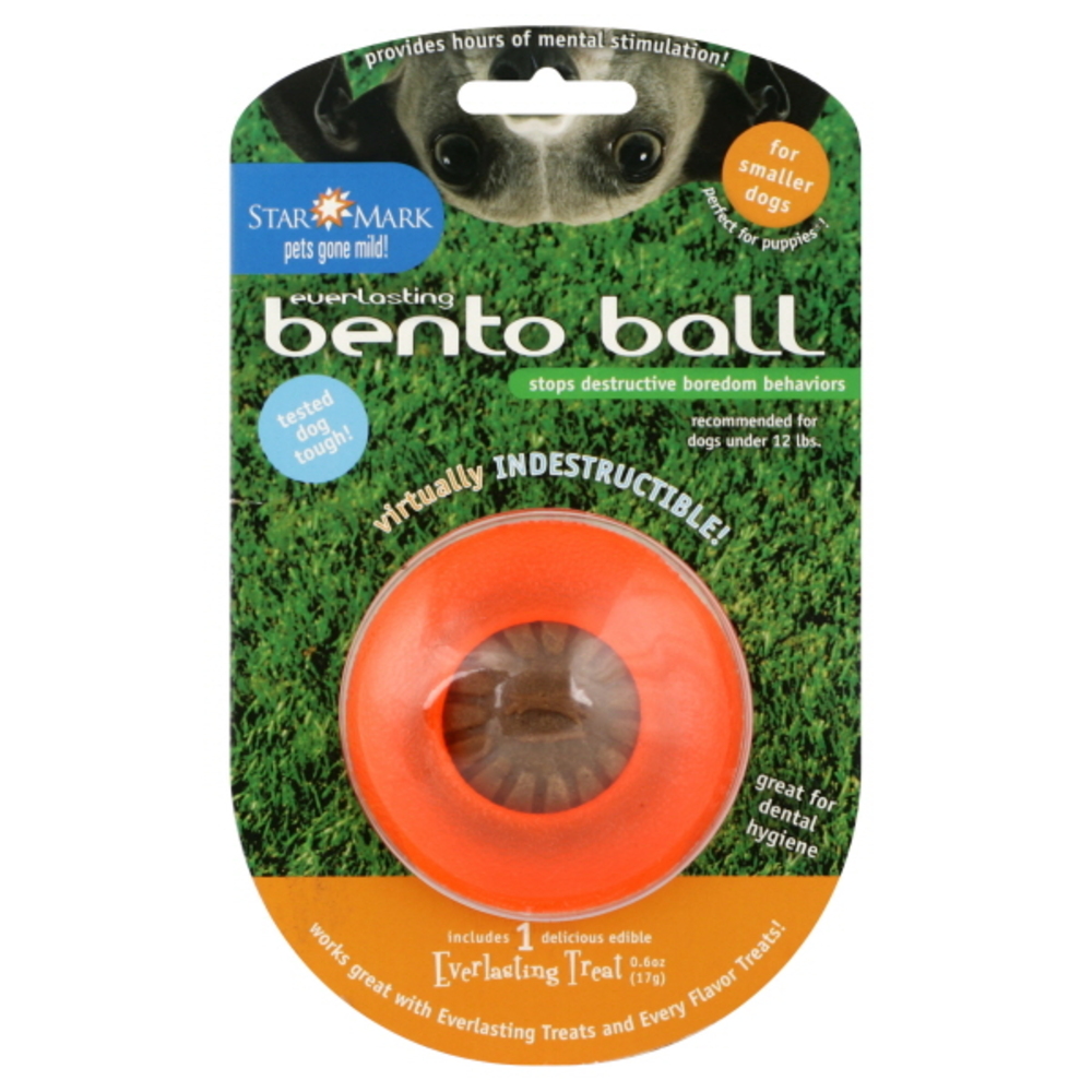 bento ball treats