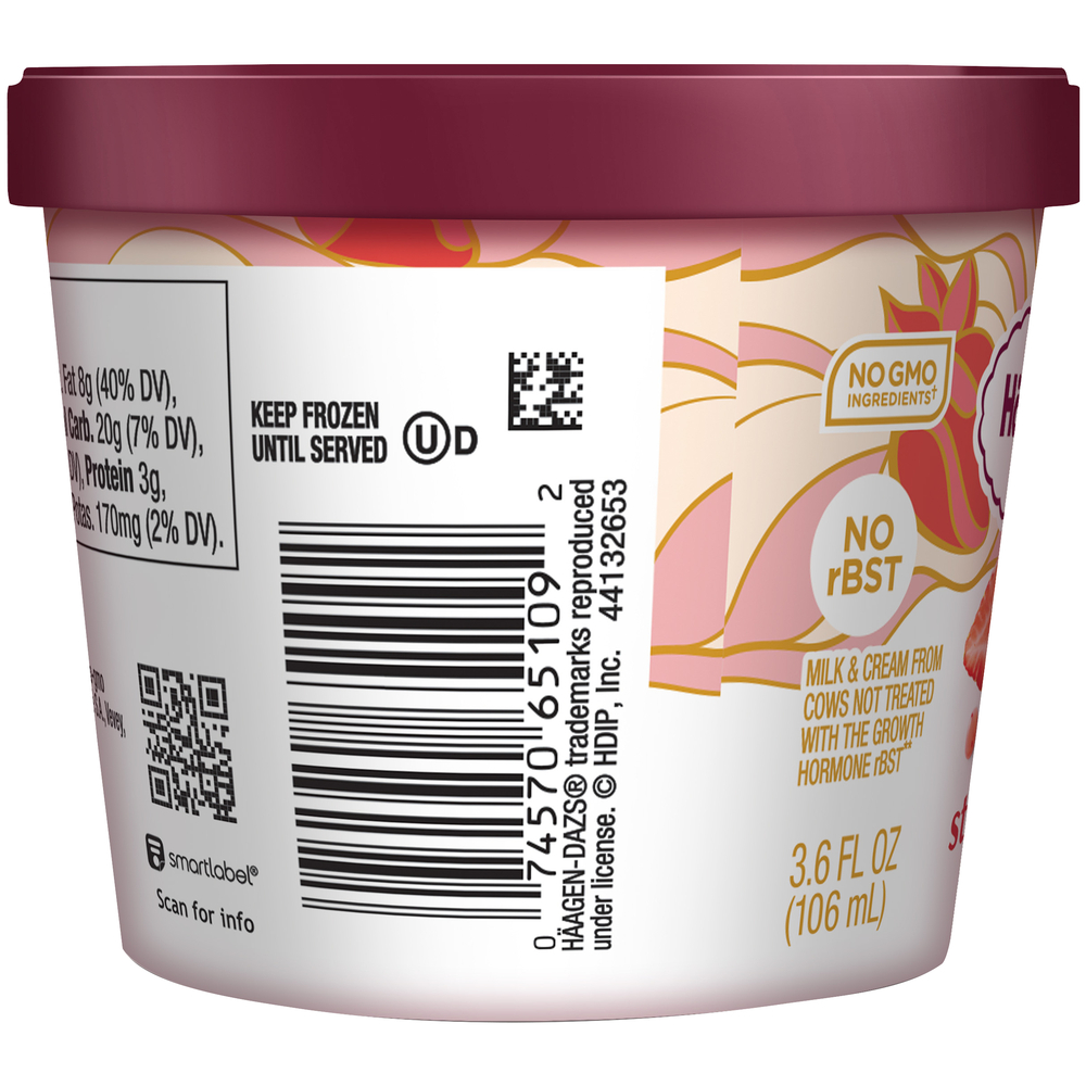 Haagen Dazs Strawberry Ice Cream-Planogram-Left