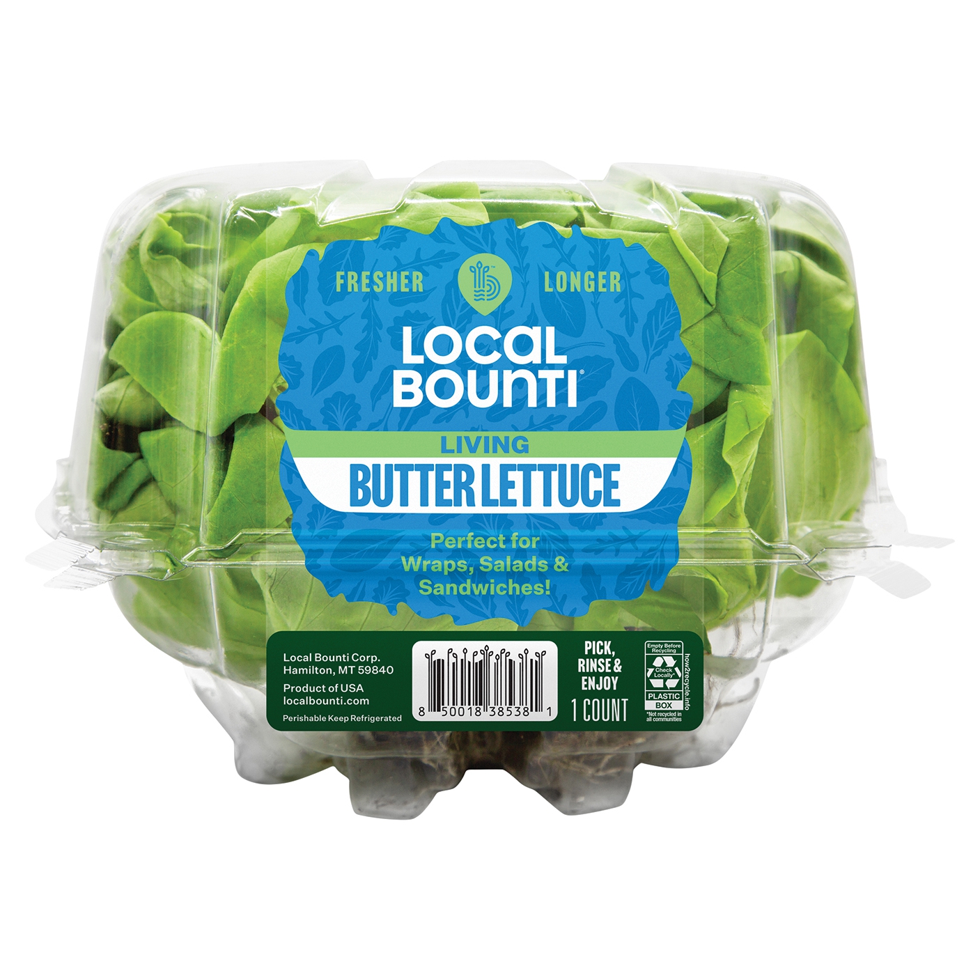 Living Butter LettuceMain