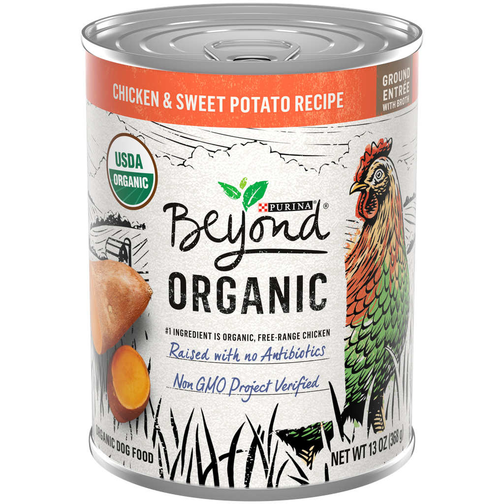 Beyond dog food review cheap