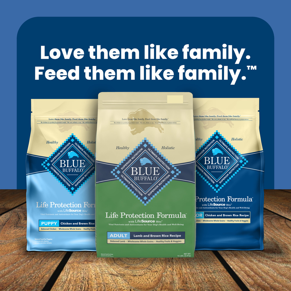 Blue buffalo life protection formula natural adult large breed dry dog food clearance