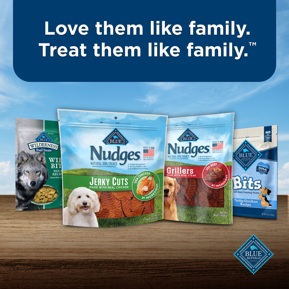 Blue Buffalo Nudges Jerky Cuts Dog Treats Made in the USA with Natural Ingredients Chicken