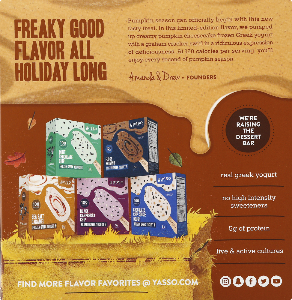 Yasso Yogurt Bars, Greek, Pumpkin Cheesecake, Frozen, 4 Pack