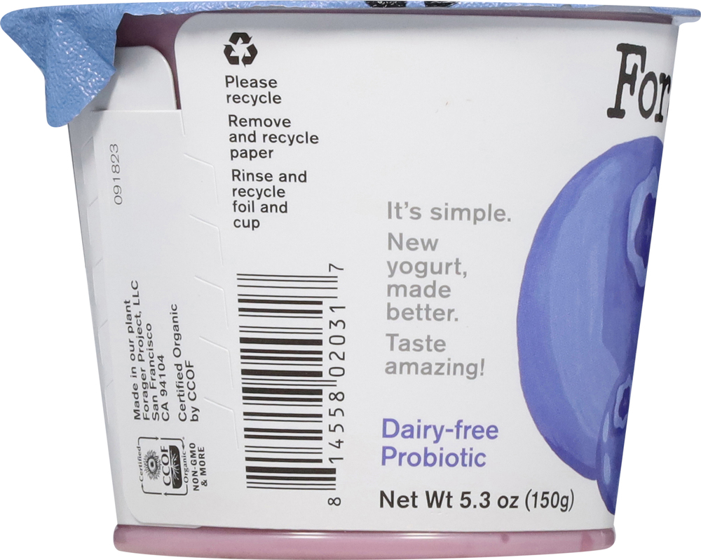 Forager Project Cashew & Coconut Yogurt Alternative, Dairy-Free