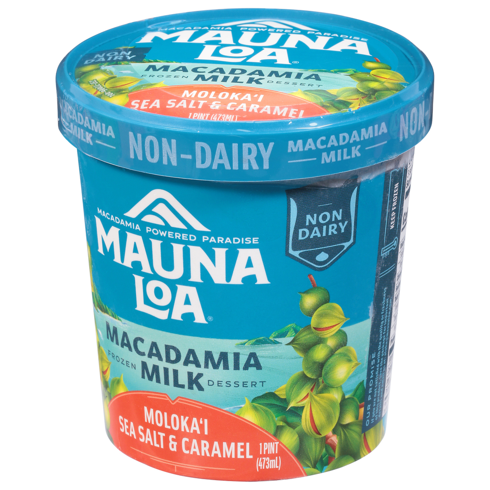 Mauna Loa Frozen Dessert, Non-Dairy, Moloka'i Sea Salt & Caramel