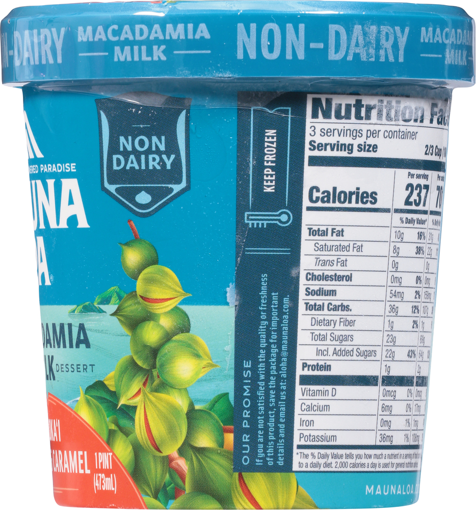 Mauna Loa Frozen Dessert, Non-Dairy, Moloka'i Sea Salt & Caramel