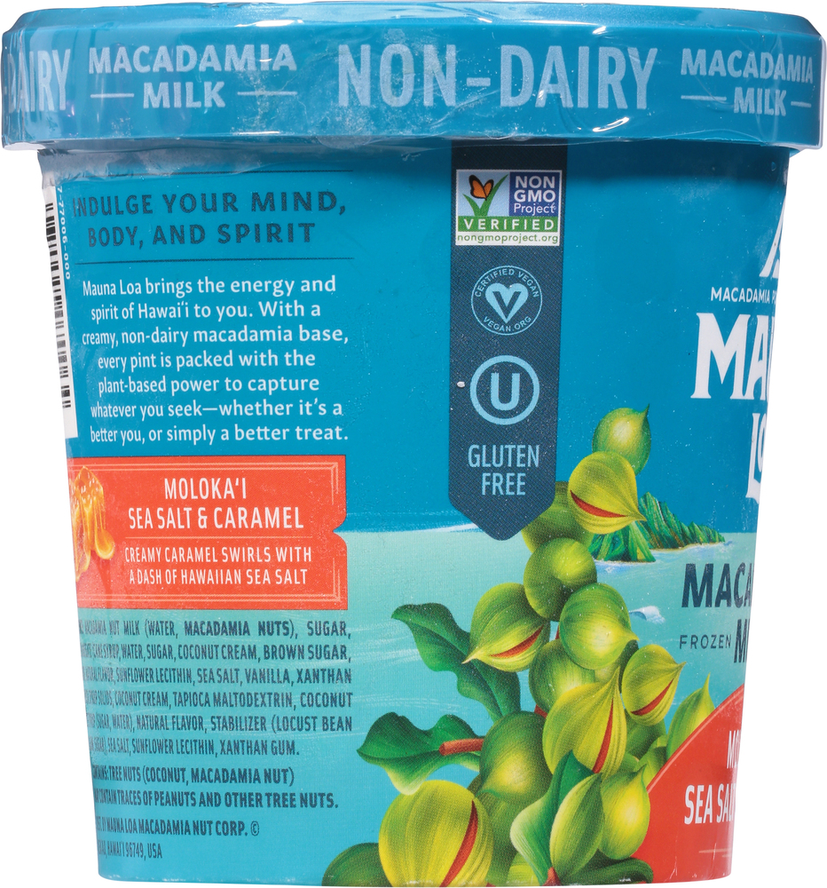 Mauna Loa Frozen Dessert, Non-Dairy, Moloka'i Sea Salt & Caramel