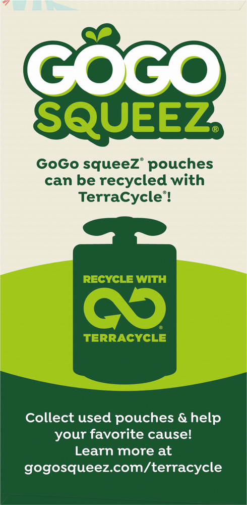 GoGo Squeez Apple Cinnamon Fruitz