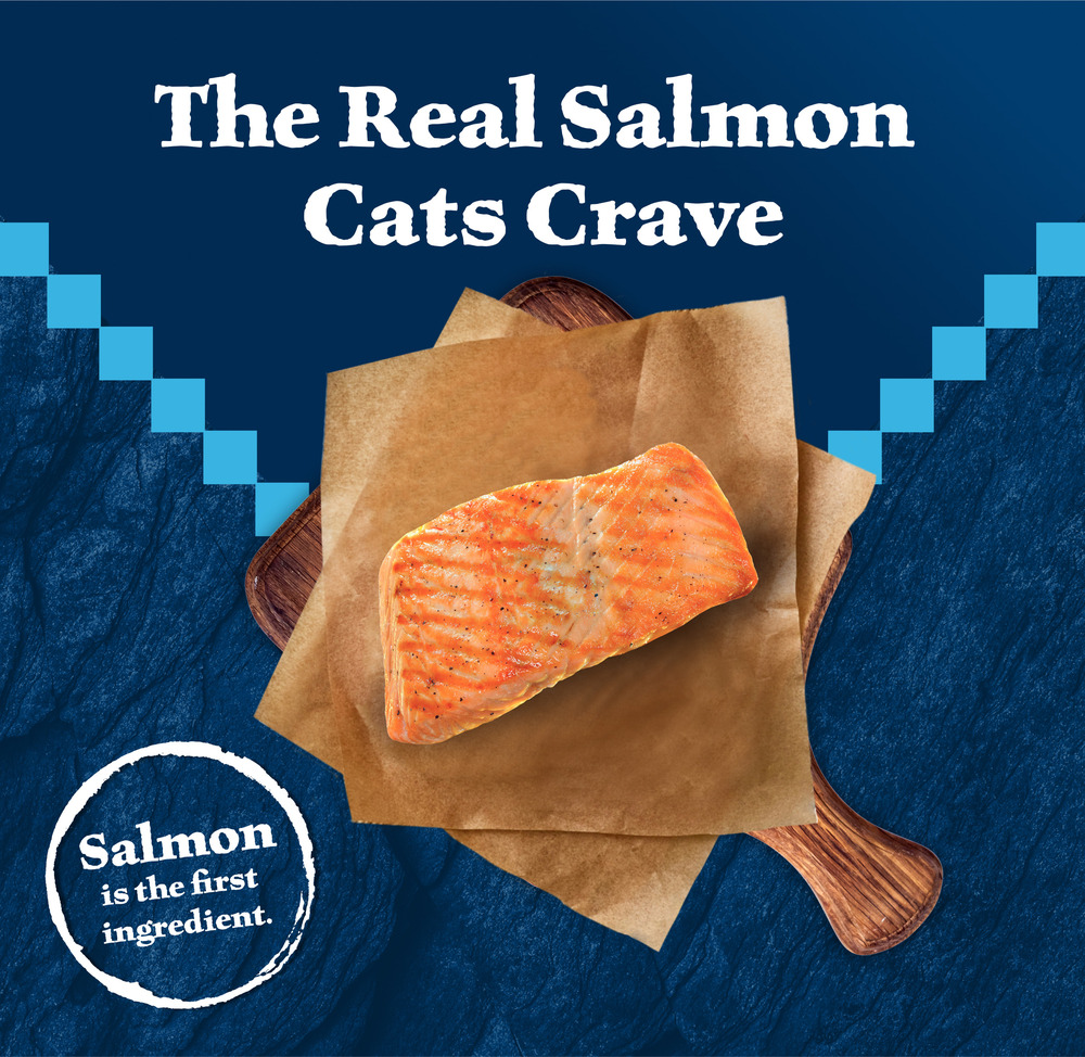High protein cat food for older cats outlet