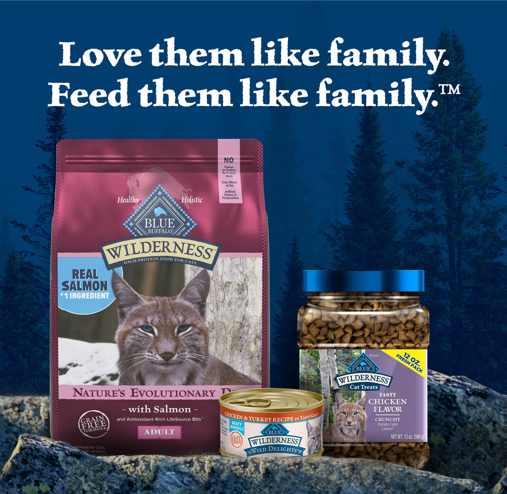Blue Buffalo BLUE Wilderness Wilderness High Protein Natural Adult Dry Cat Food Salmon 4 lb