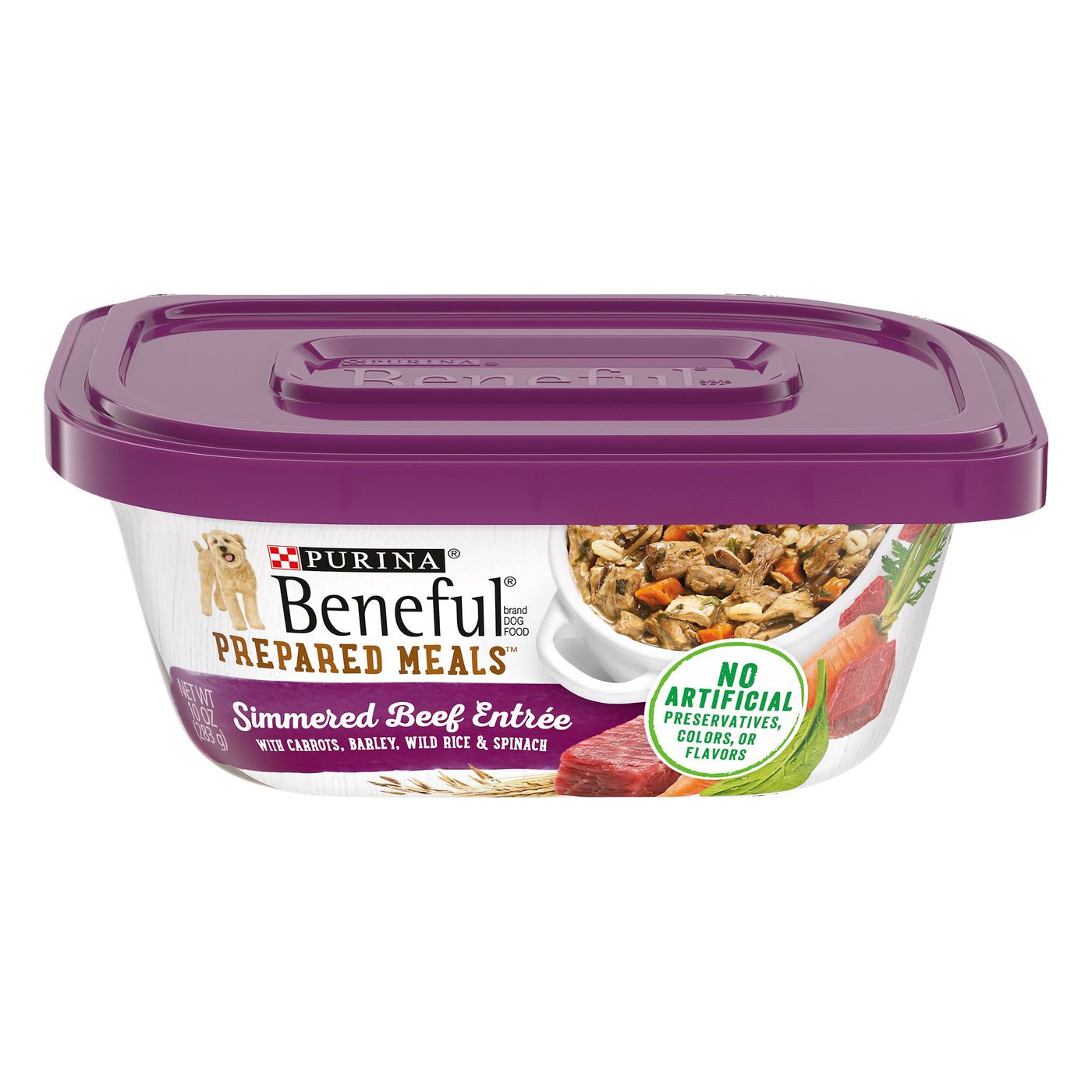 Beneful puppy wet food shop