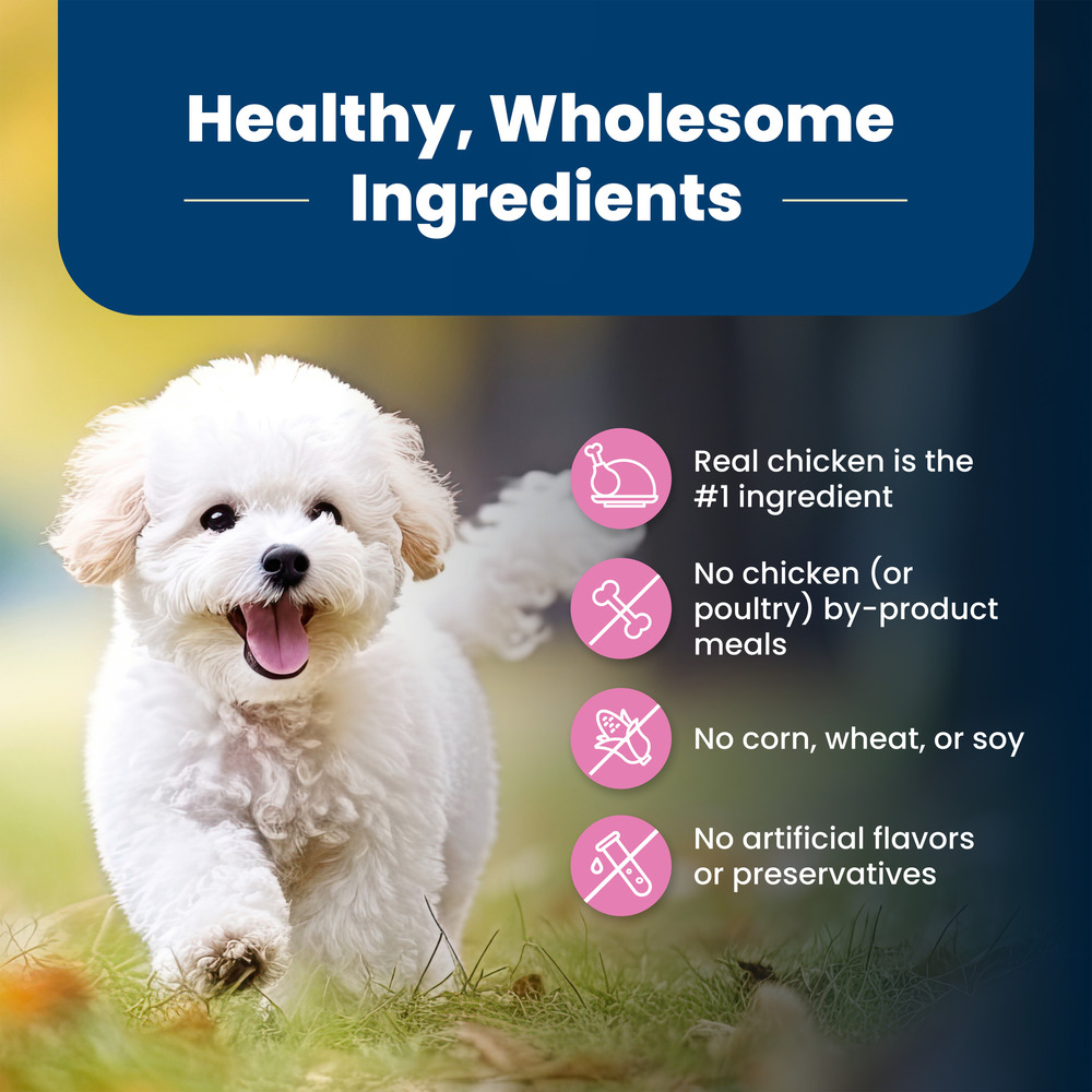 Blue Buffalo Life Protection Formula Natural Adult Small Breed Dry Dog Food Chicken and Brown Rice