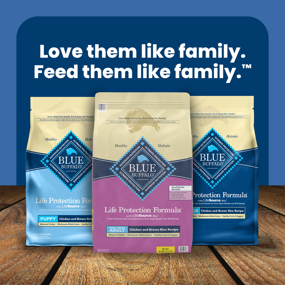 Blue Buffalo Life Protection Formula Natural Adult Small Breed Dry Dog Food Chicken and Brown Rice