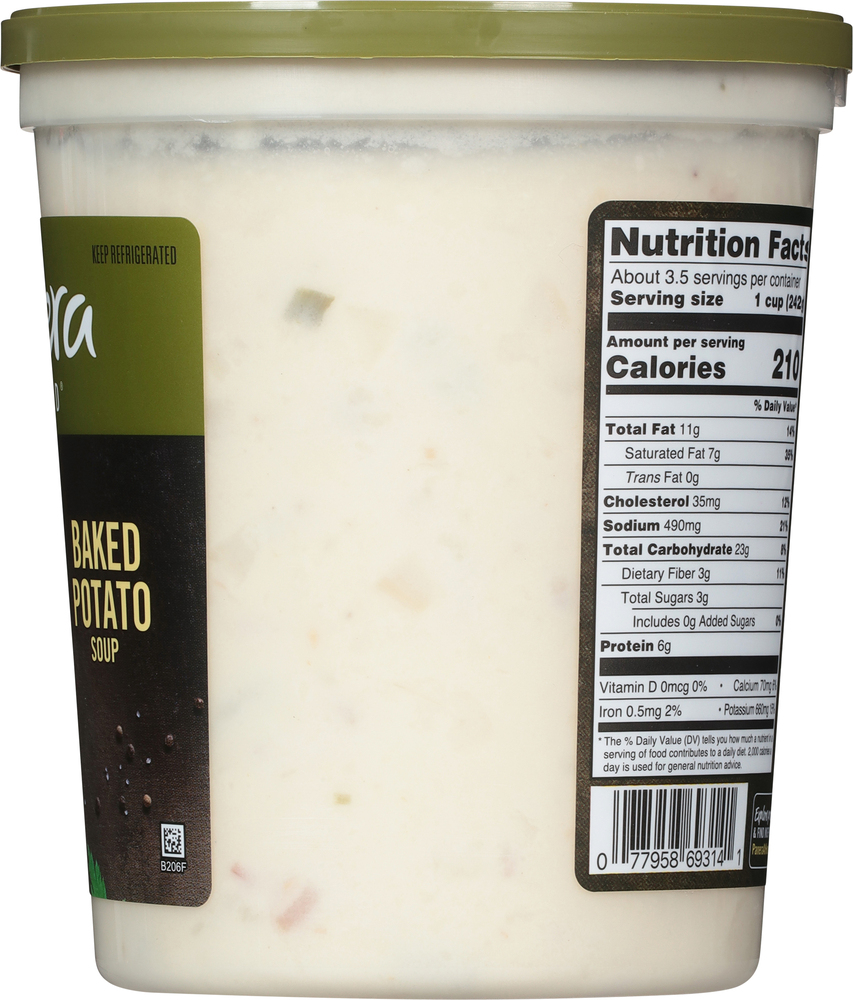 Panera Bread Baked Potato Soup, 32 OZ Soup Cup (Gluten Free)Planogram