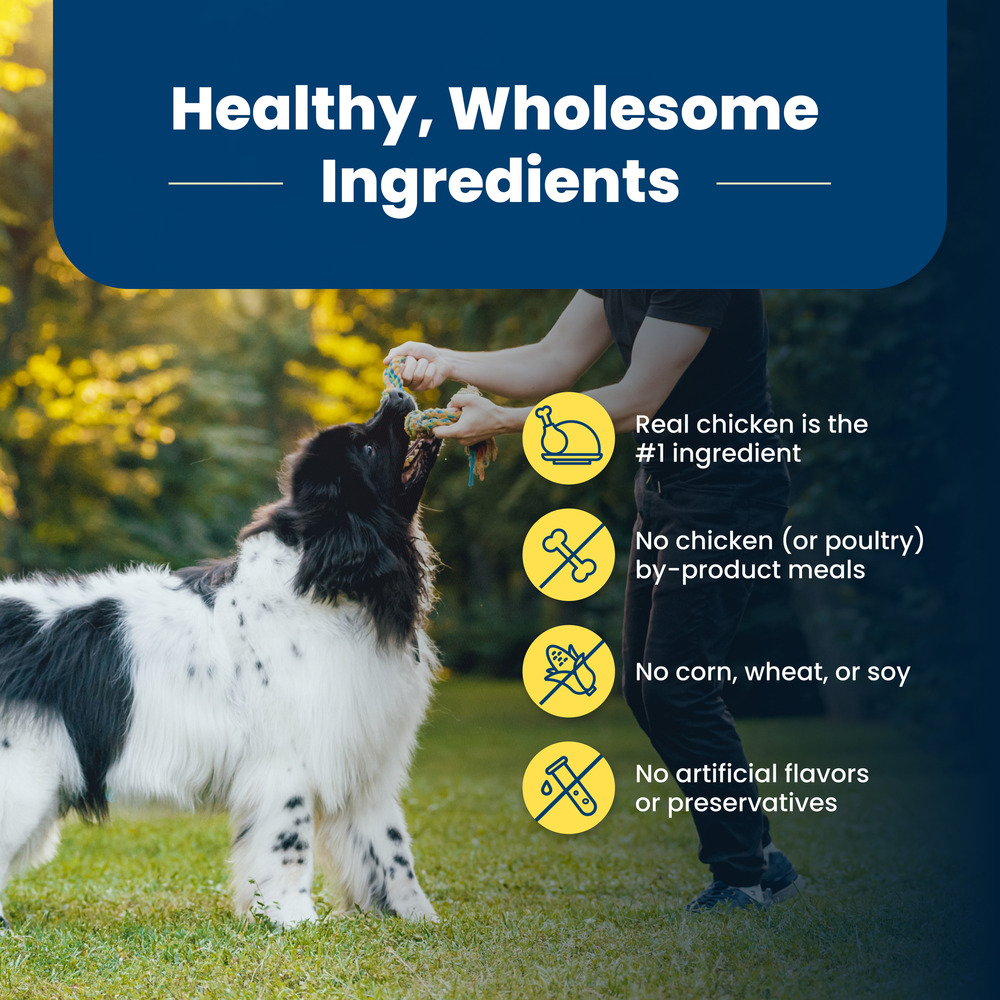 Blue buffalo dog food healthy weight top