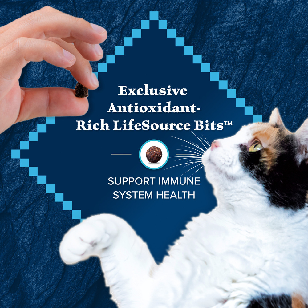What is the most nutritious dry cat food top
