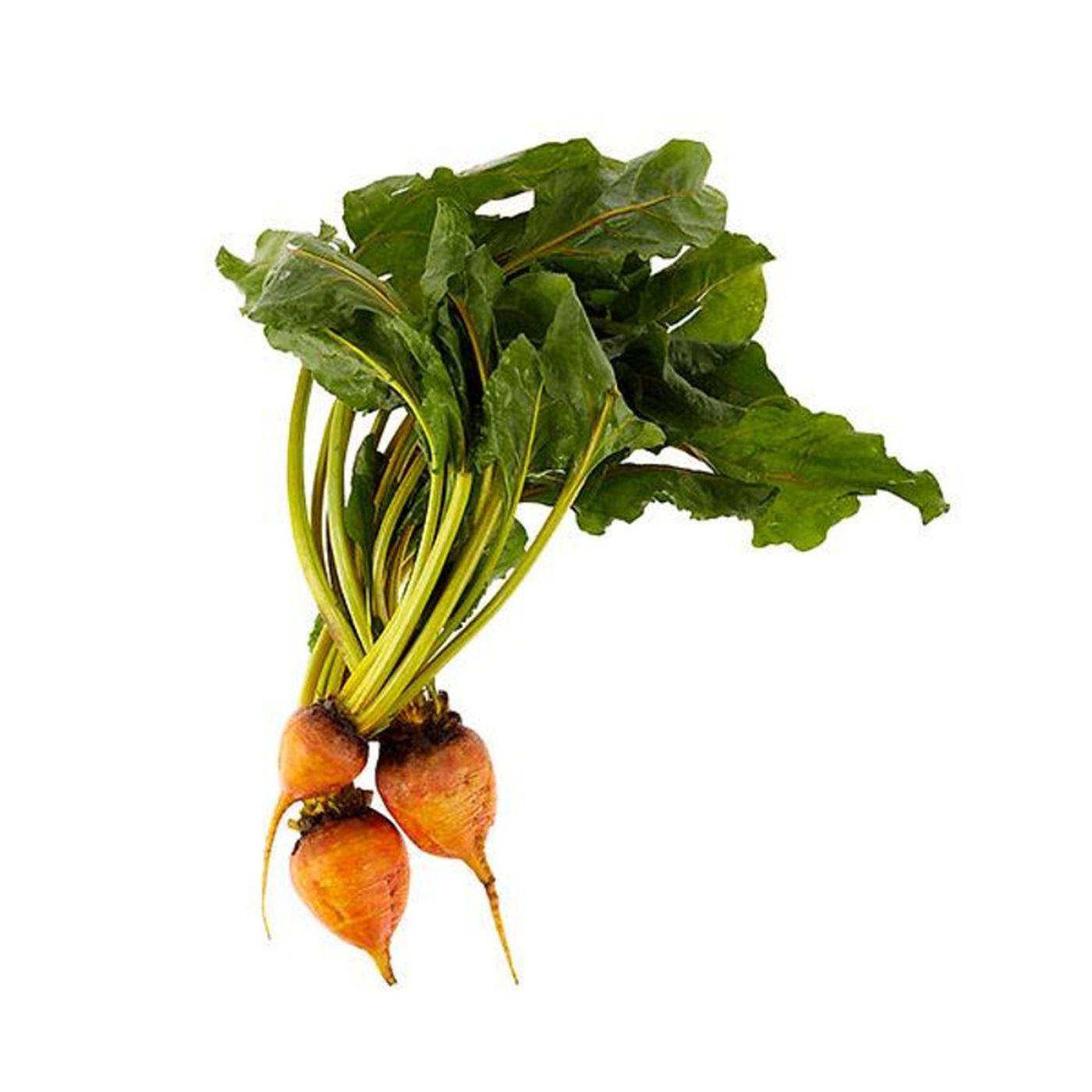 Organic Gold Beets, 1 BunchMain