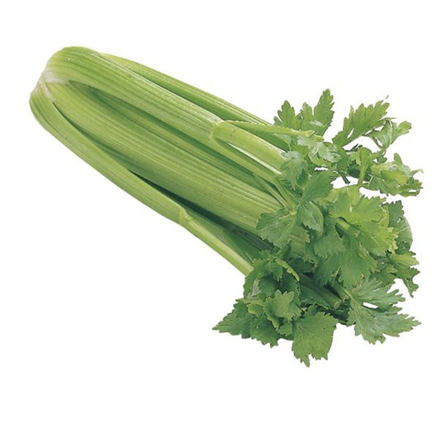 Celery StalksMain