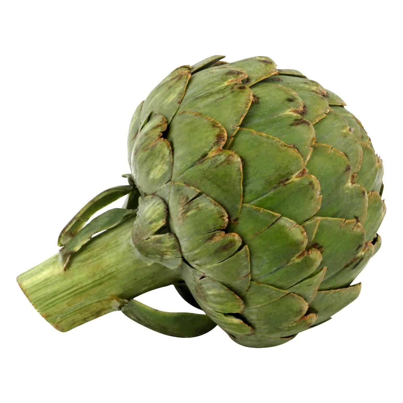 Jumbo ArtichokeMain