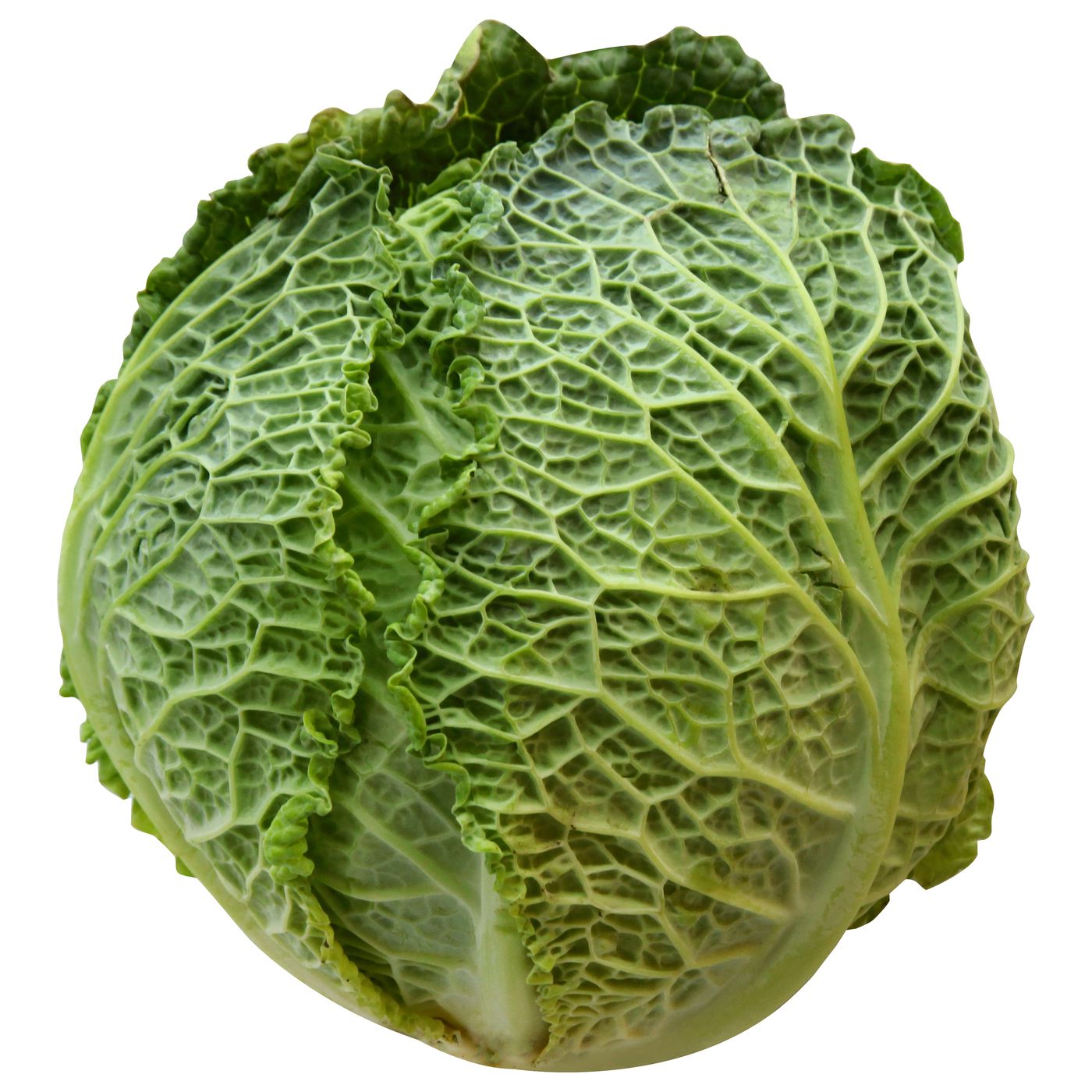 Cabbage Each Savoy Cabbage, each-Main