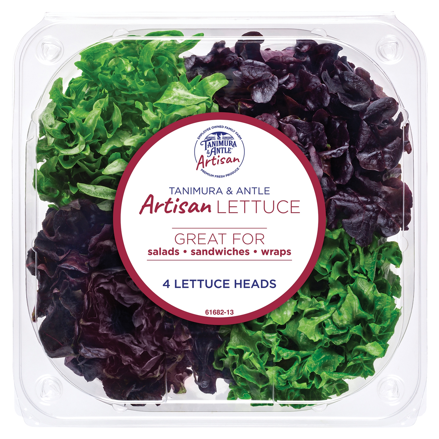 Artisan LettuceMain