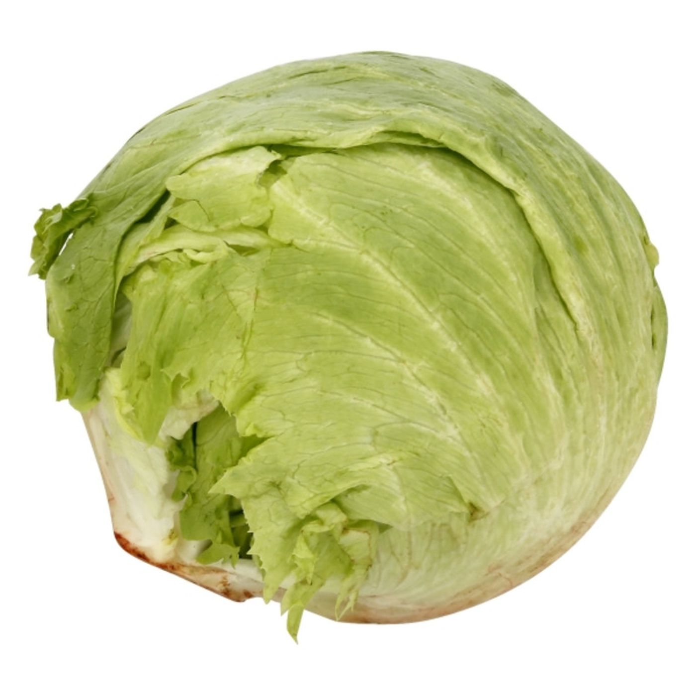 Iceberg Lettuce, OrganicMain