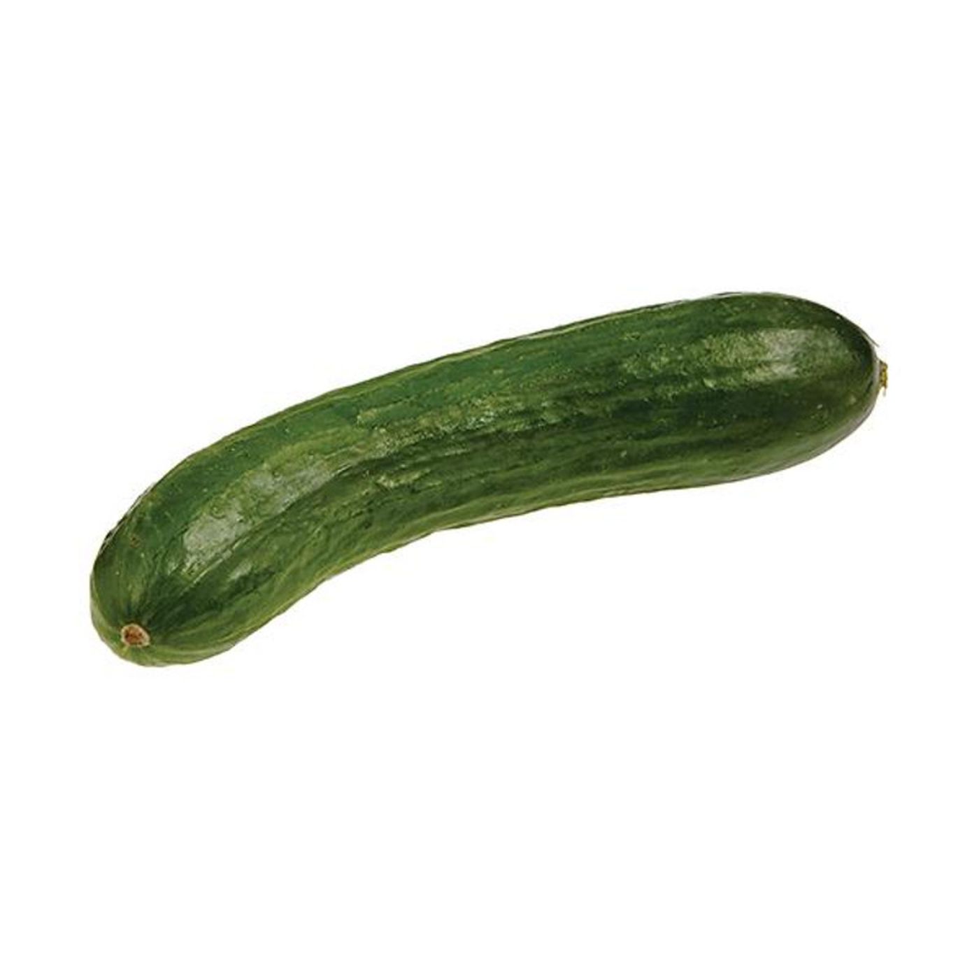 Organic Persian Cucumbers-Main