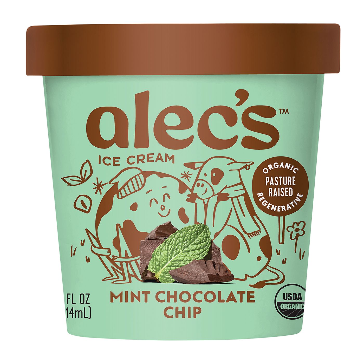 Mint Chocolate Chip Ice Cream