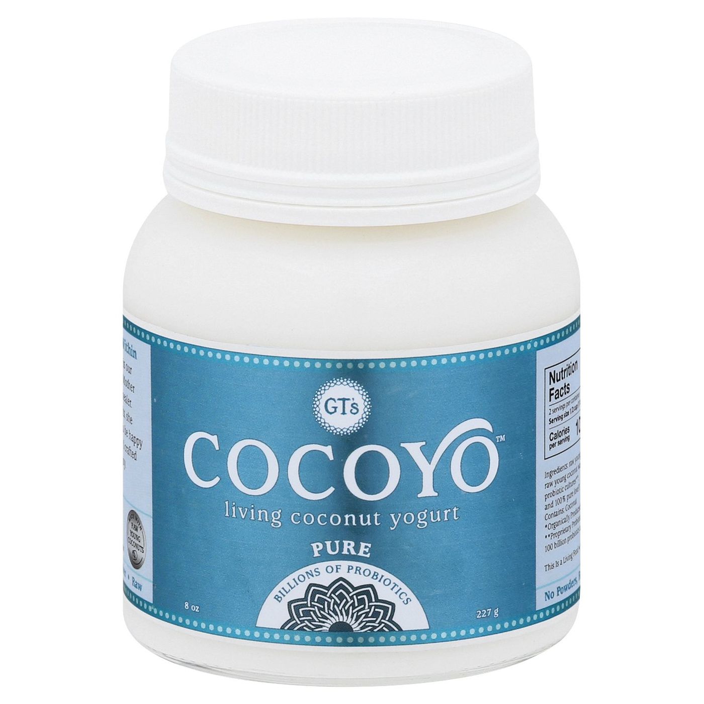 GT's Cocoyo Coconut Yogurt, Pure