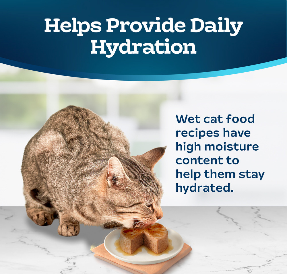 Blue Buffalo Tastefuls Wet Cat Food Pate Made with Natural Ingredients Ocean Fish and Tuna Entree 5.5 oz. Can