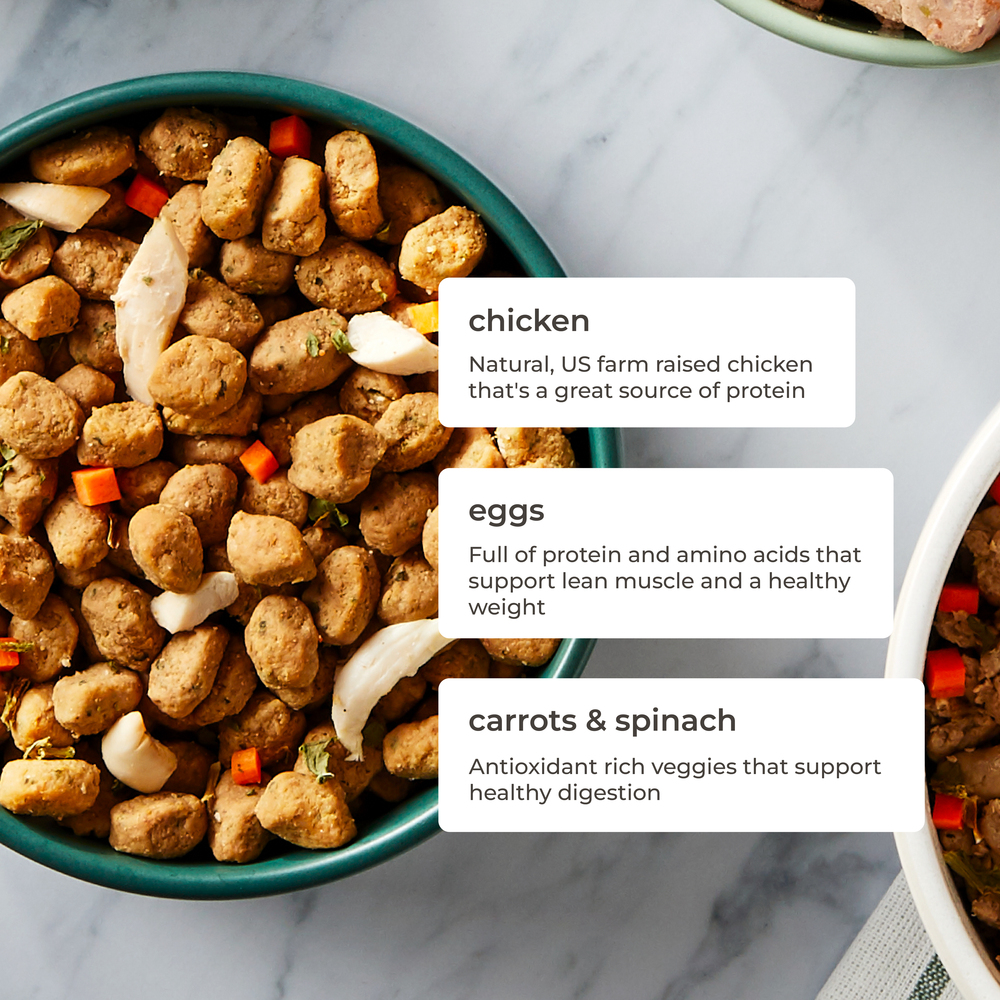 Freshpet Dog Food, Freshly Roasted Meals, Tender Chicken RecipeIngredients