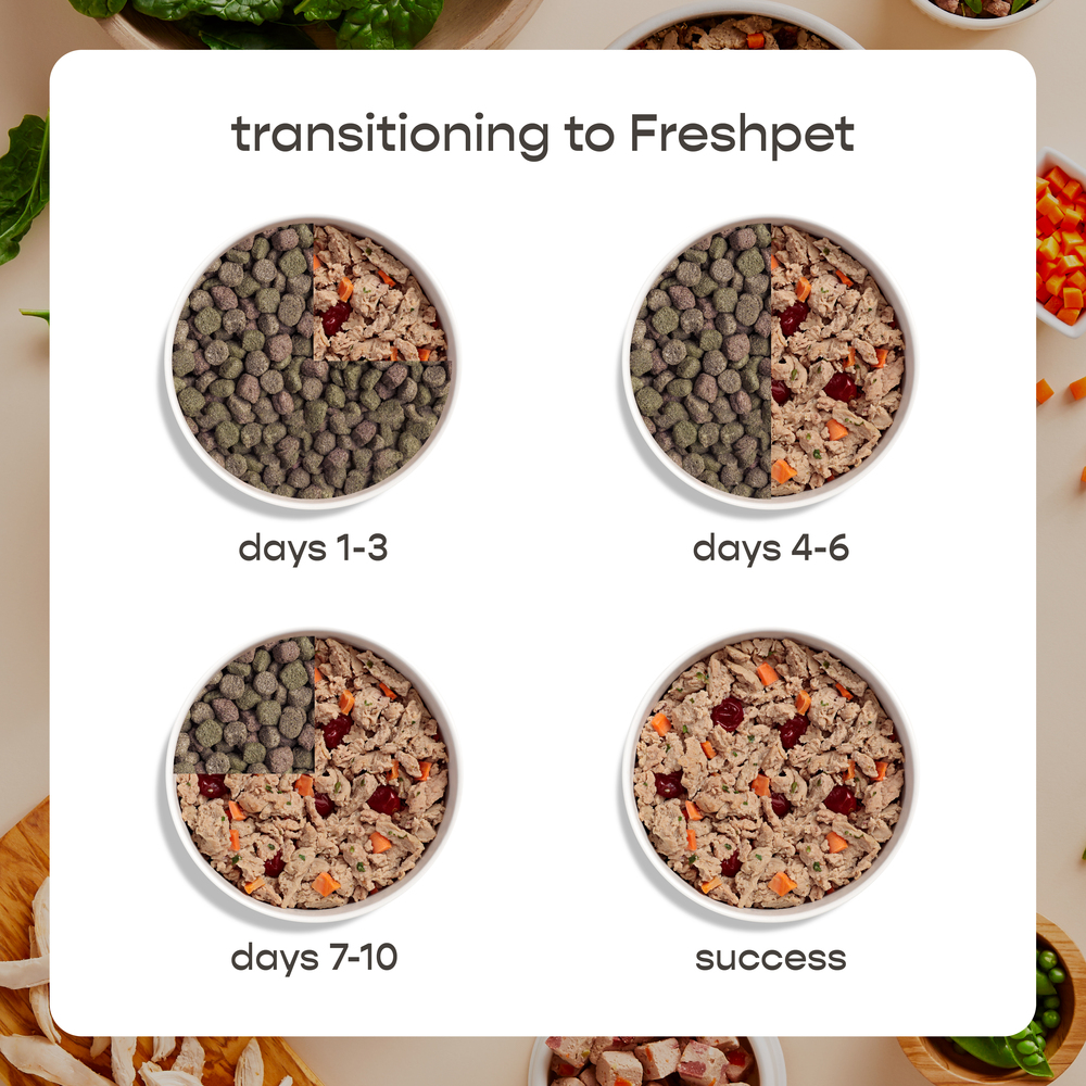 Freshpet Dog Food, Home Cooked Chicken Recipe, Larger SizePlanogramBack