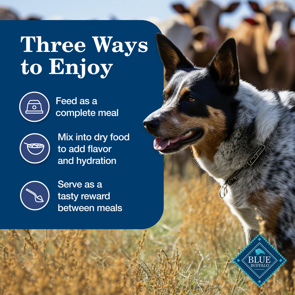 Blue buffalo homestyle 2025 canned dog food