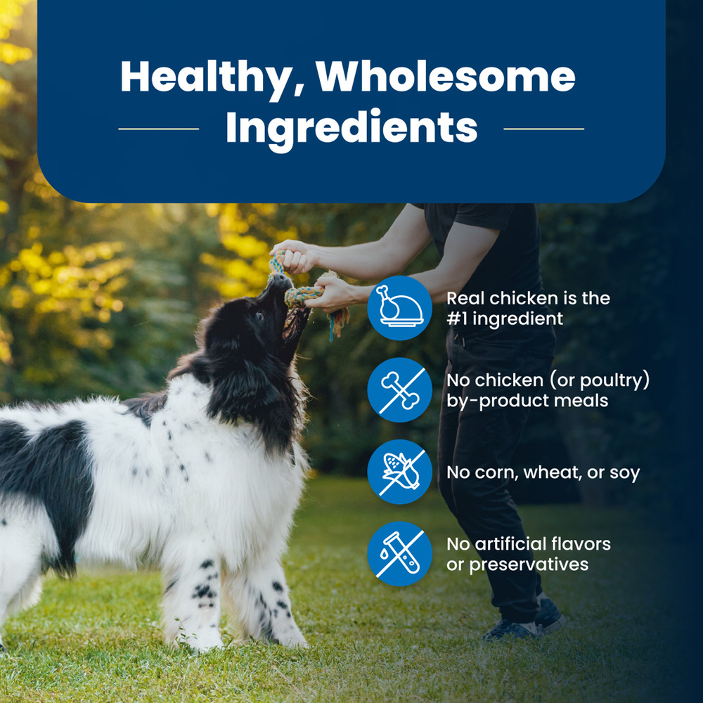 Blue Buffalo BLUE Life Protection Formula Adult Dry Dog Food Helps Build and Maintain Strong Muscles Made with Natural Ingredients Chicken Brown Rice Recipe 24 lb. Bag