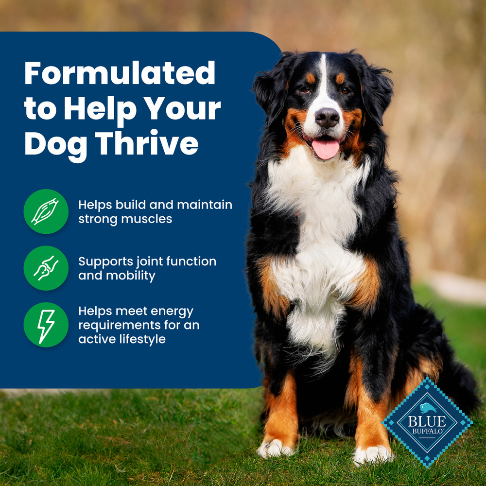 Blue Buffalo Life Protection Formula Adult Dry Dog Food Helps Build and Maintain Strong Muscles Made with Natural Ingredients Lamb Brown Rice Recipe 15 lb. Bag