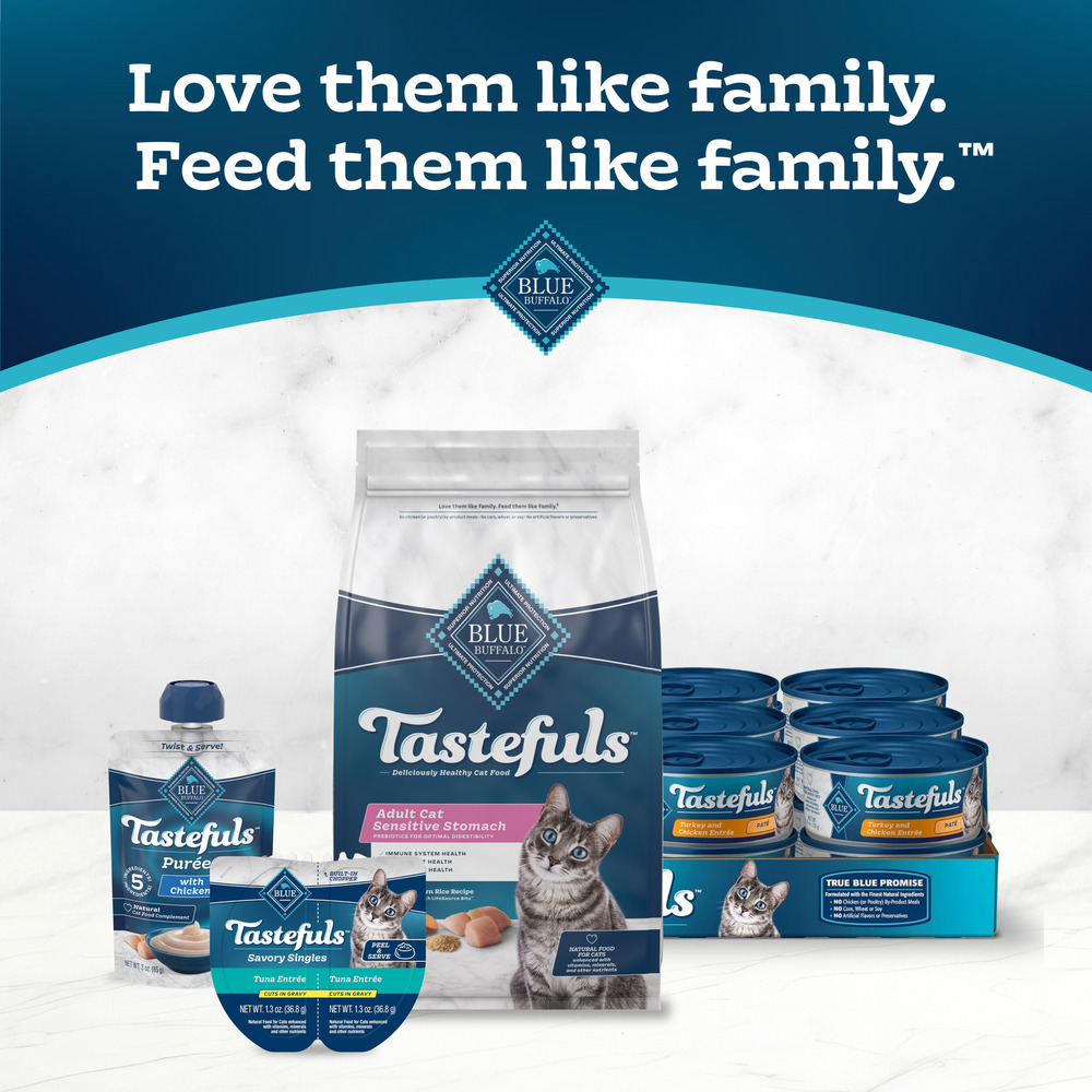 Blue Buffalo Tastefuls Sensitive Stomach Natural Adult Dry Cat Food Chicken