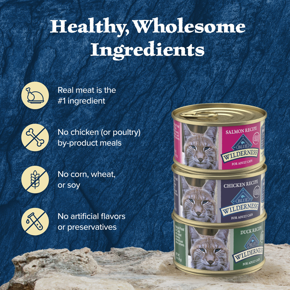 Blue wilderness salmon wet cat food top