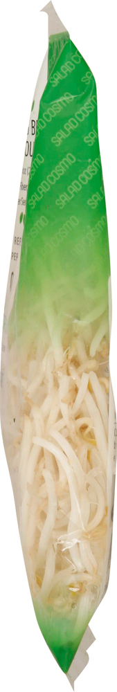 Organic Bean Sprouts