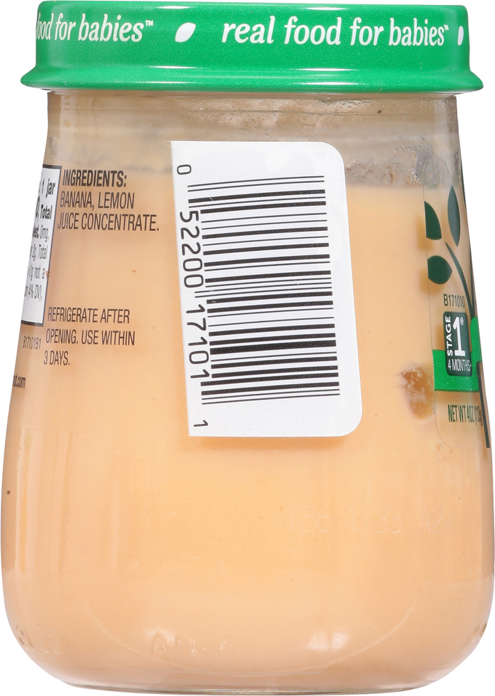 Beechnut baby best sale food 4 months