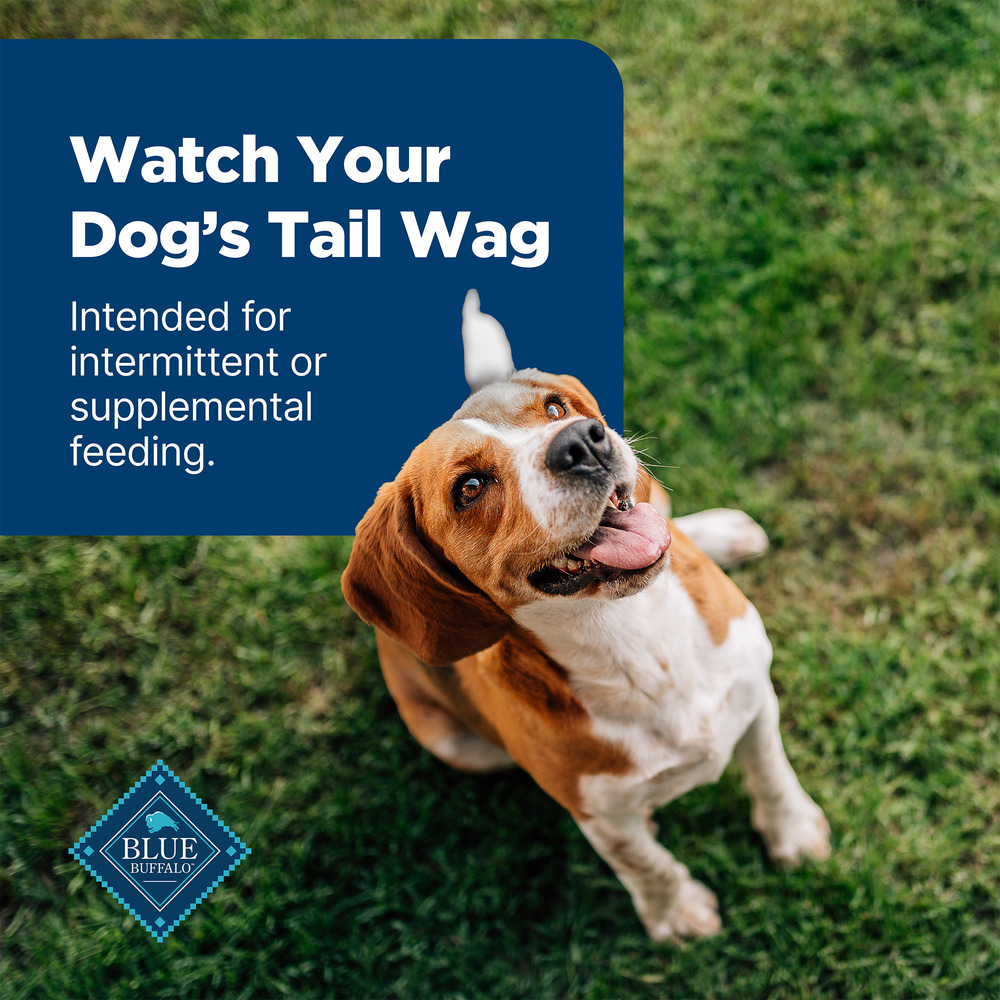 Blue Buffalo Nudges Nudges Jerky Bites Dog Treats Bite Sized Pieces Chicken