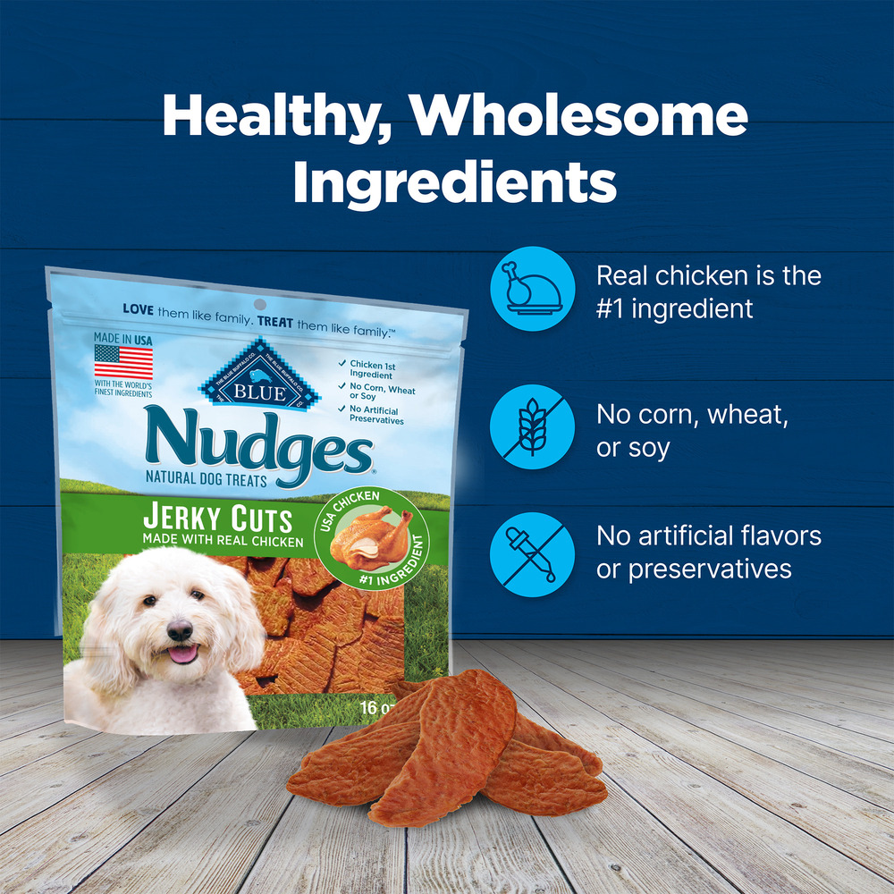 Nudges jerky bites outlet