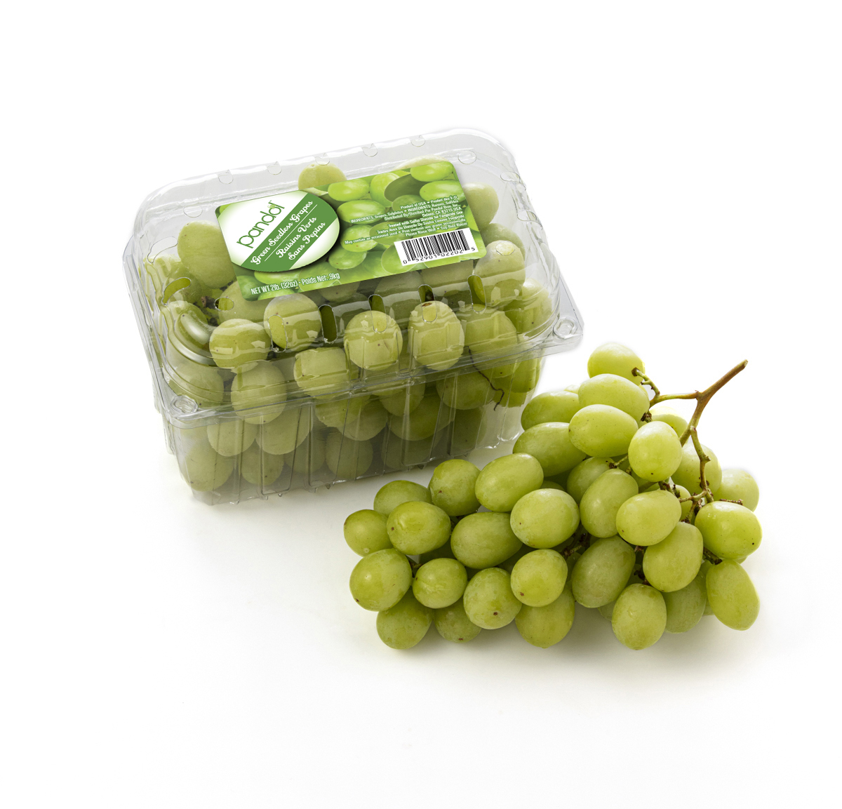Green Seedless Grapes ClamshellMain