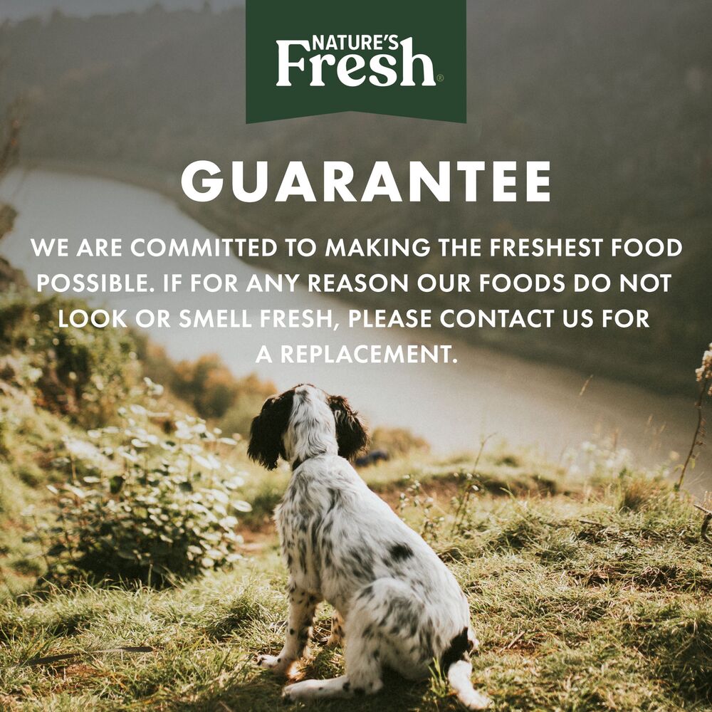 Freshpet Dog Food Grain Free Chicken Recipe Adult