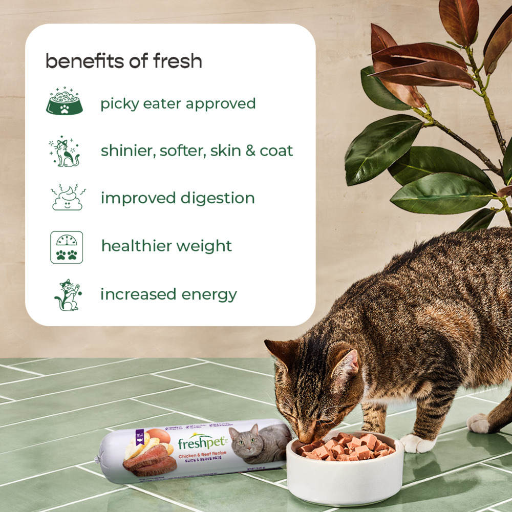 Freshpet sales cat roll