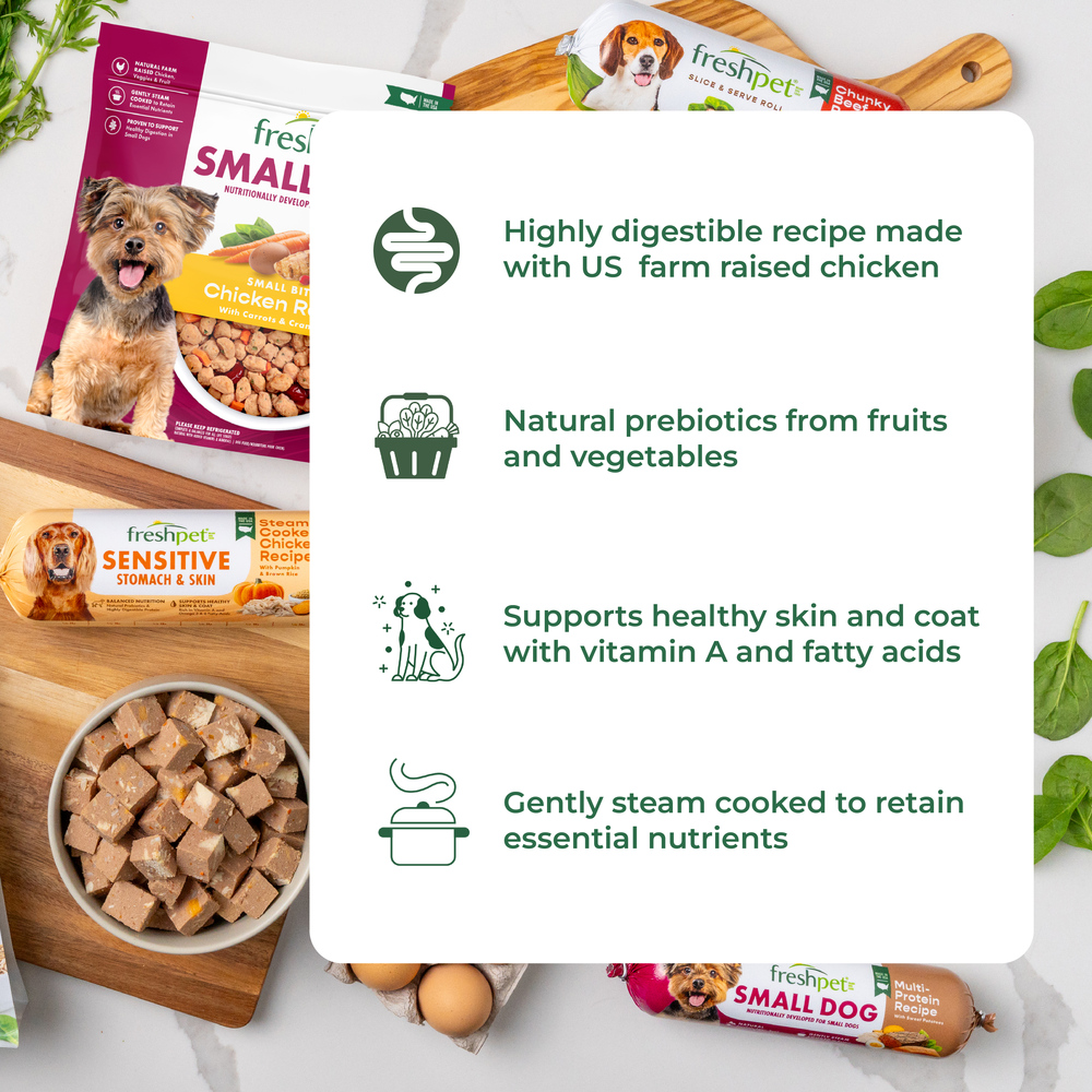 Small dog sensitive stomach food best sale
