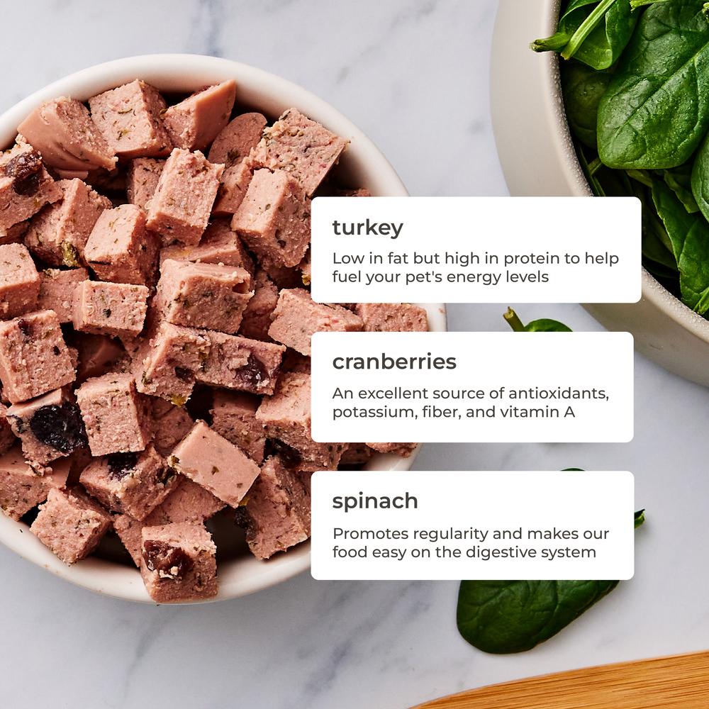 Dog food similar to freshpet online