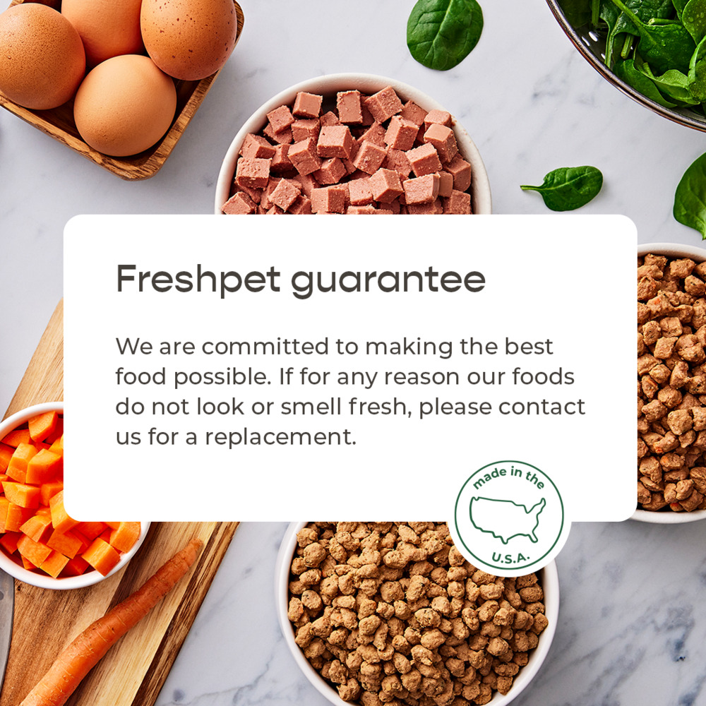 Freshpet Cat Food Moisture Rich Tender Bites Tender Chicken Recipe